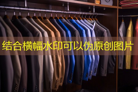 寿光四季绿化工程招标公告